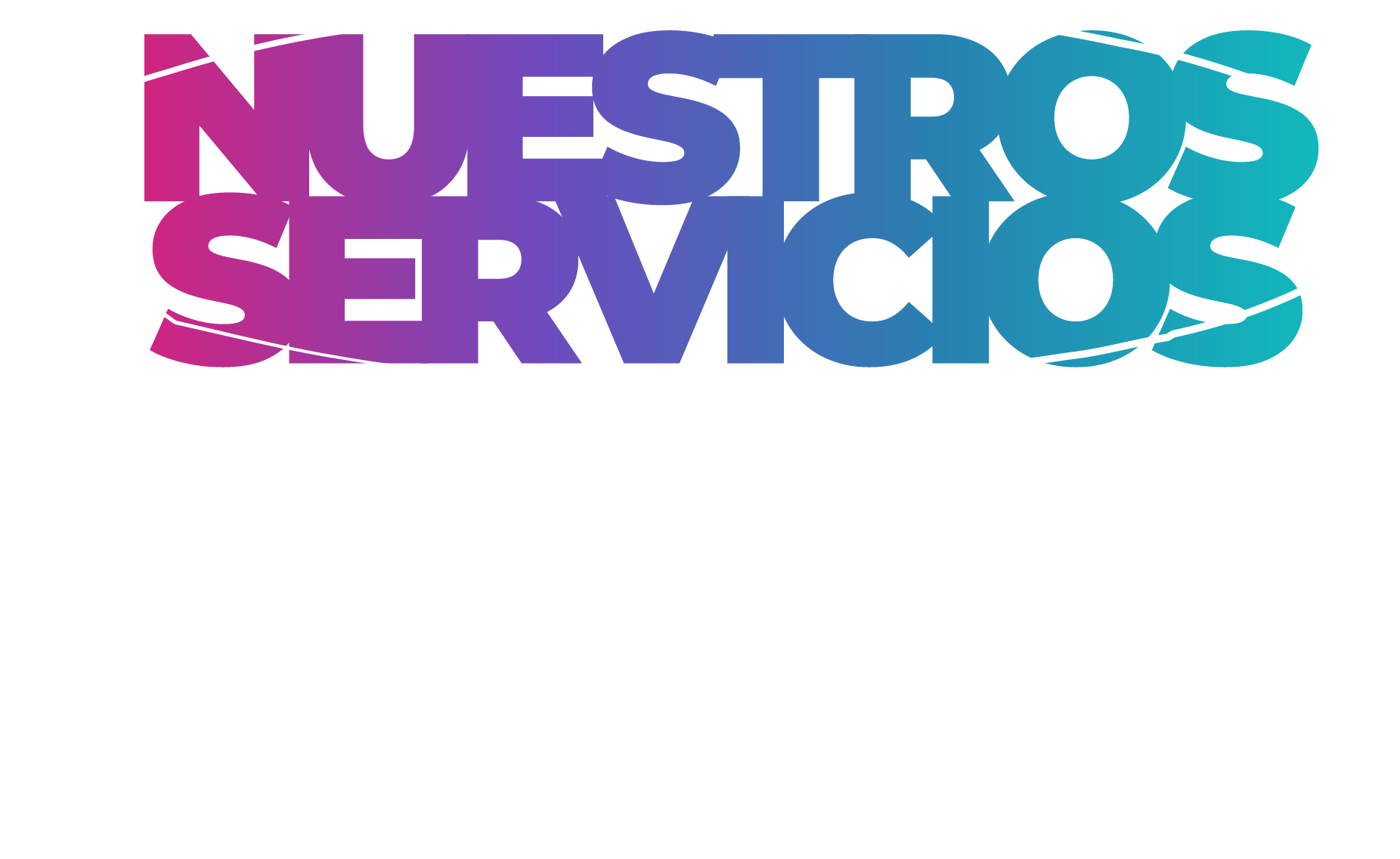 Nuestros Servicios